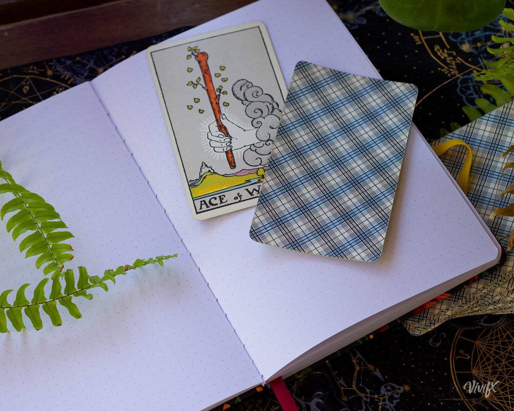 Tarot De Marsellie Dot Grid Notebook