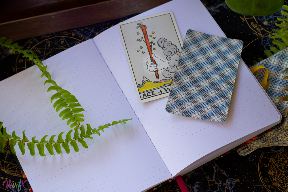 Tangled Divine Dot Grid  Notebook